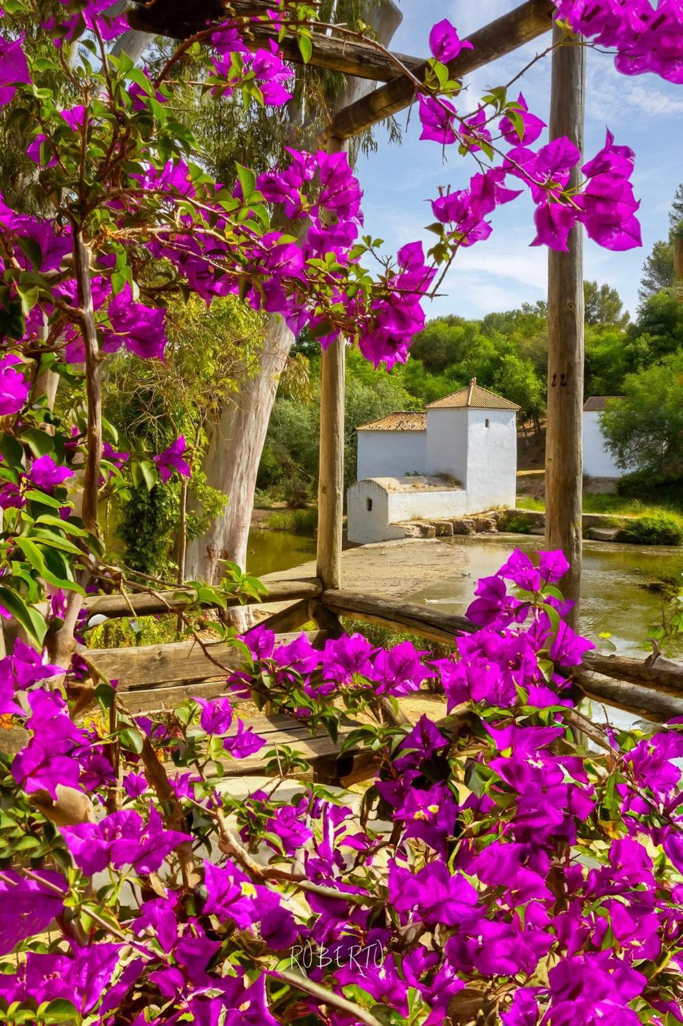 Apartamento Nuevo Centrico Con Aparcamiento Privado Incluido อัลกาลา เด กัวไดรา ภายนอก รูปภาพ